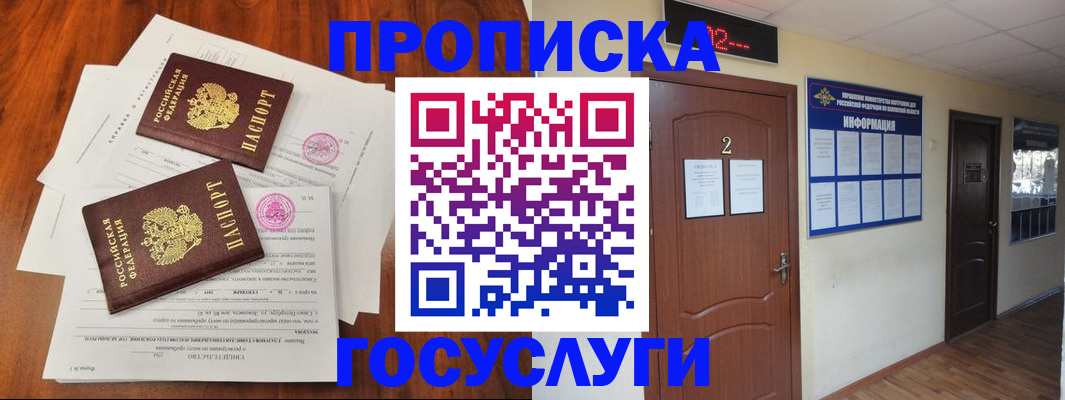 прописка законно в Купино